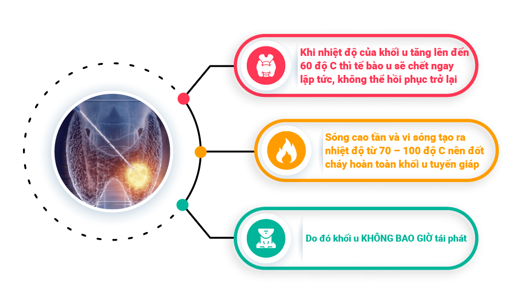 ttm_single_image-wrapper